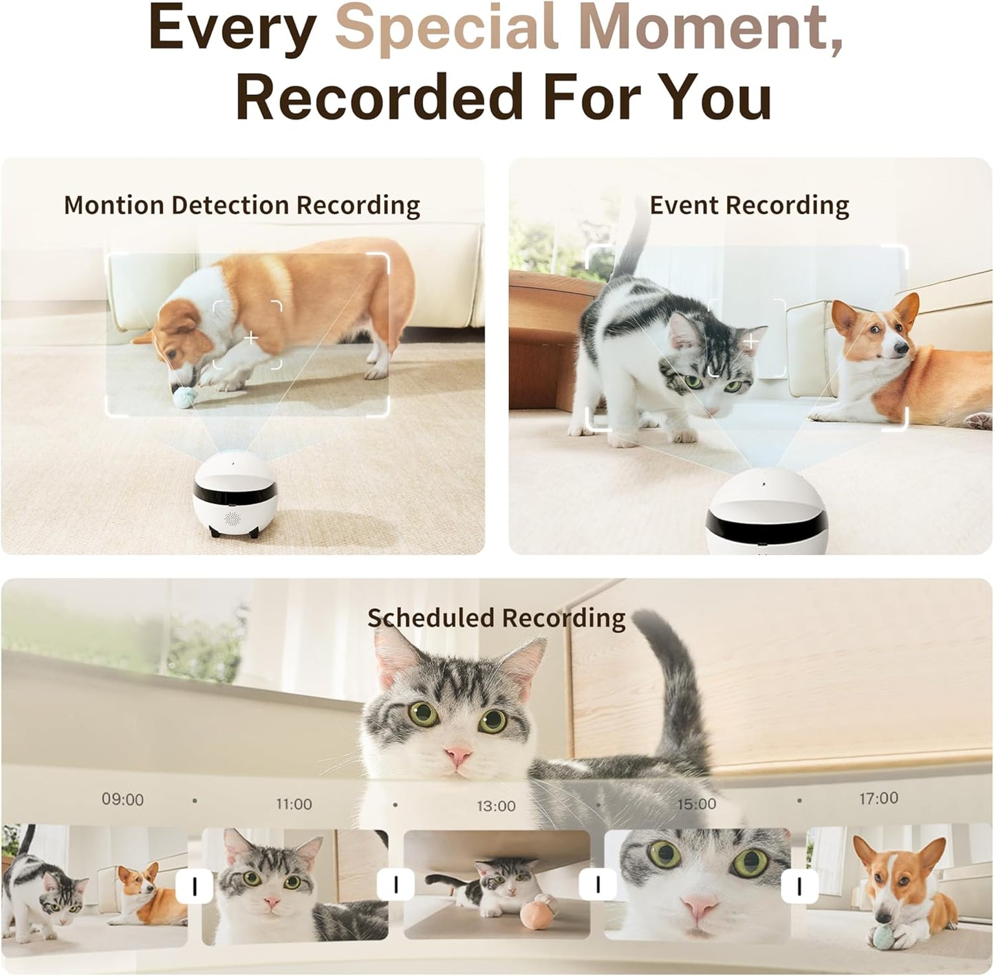 ROLA Mini Familybot 2K Pet Camera Robot: Movable Indoor Camera Battery-Powered with Phone App, One-Touch Call, 2-Way Talk, Night Vision, Motion Detection, Video Recording
