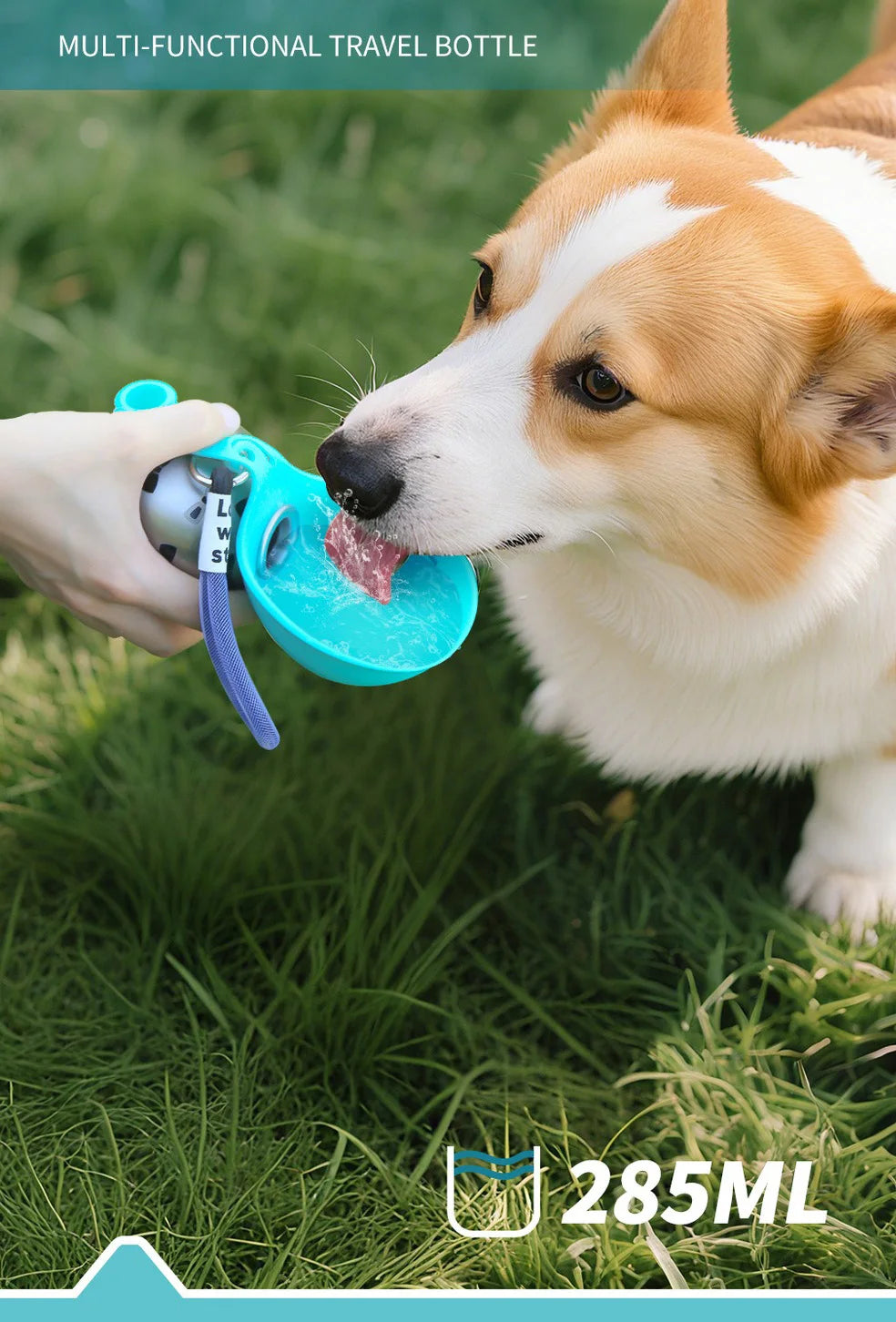 Portable Dog Water Bottle 285 ml – Hydration on Walks and Trips